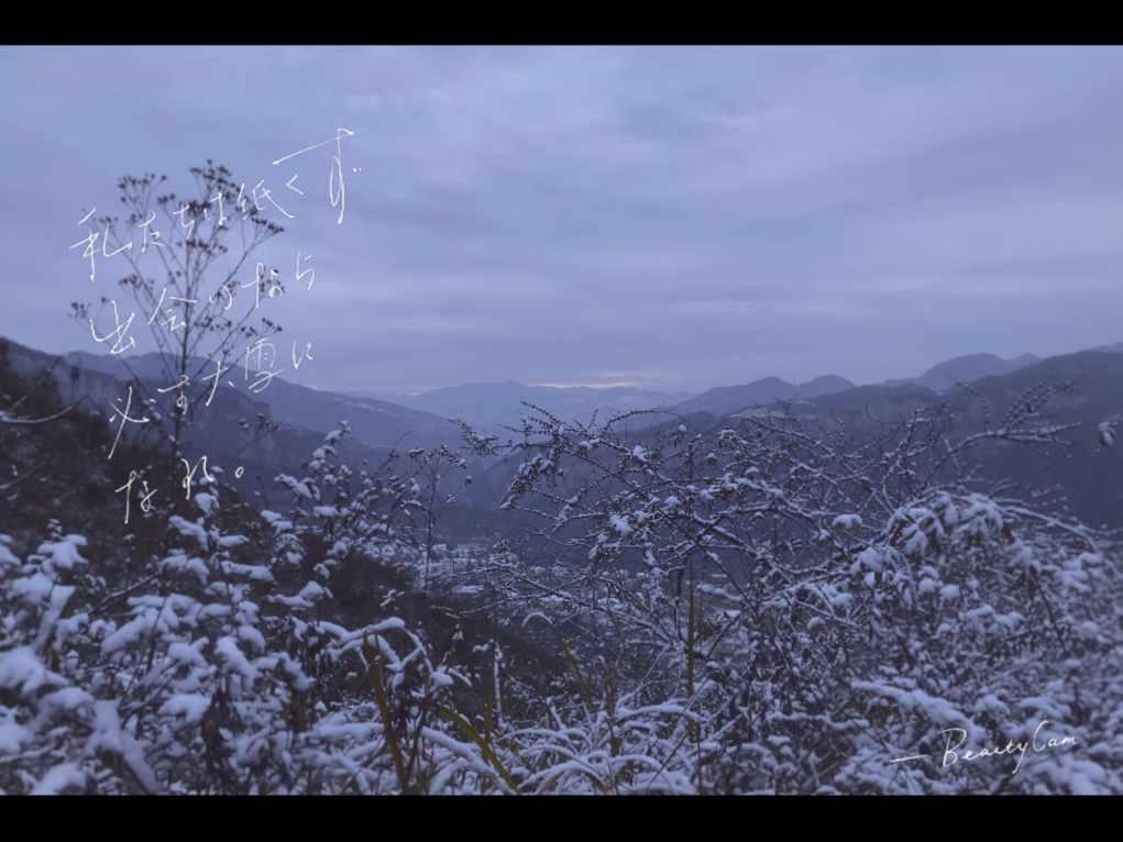 中国平安“1.8财神节”再升级,一条龙专业服务打造全新客户体验
