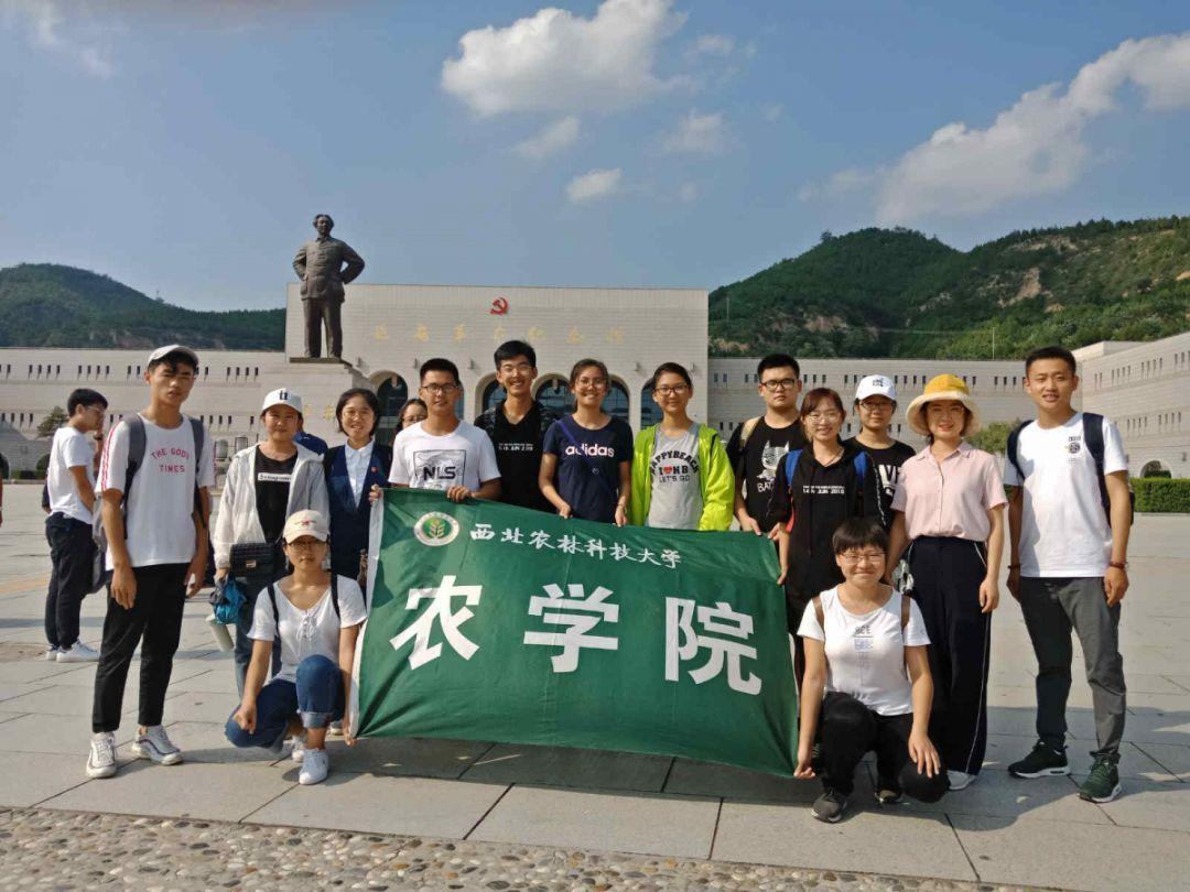 新超西游记