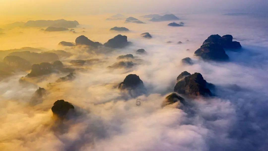 君有易道茶|喝好两类茶,天寒人不寒